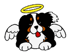 RÃ©sultat de recherche d'images pour "gif animÃ© saint bernard"
